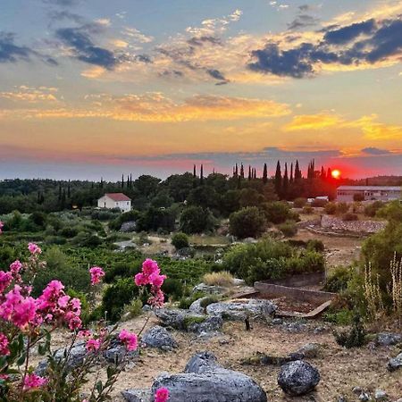 Appartamento Le Petit 2 Čilipi Esterno foto