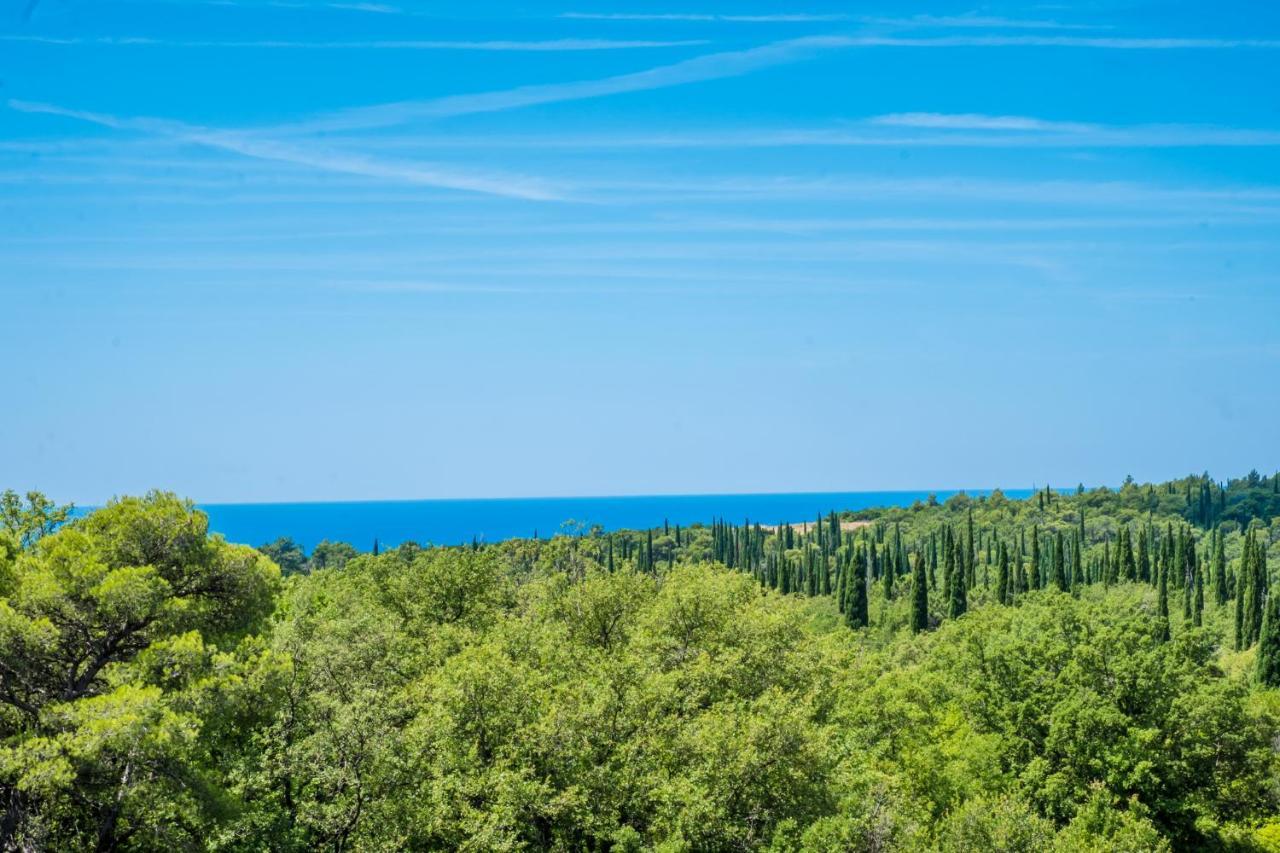 Appartamento Le Petit 2 Čilipi Esterno foto