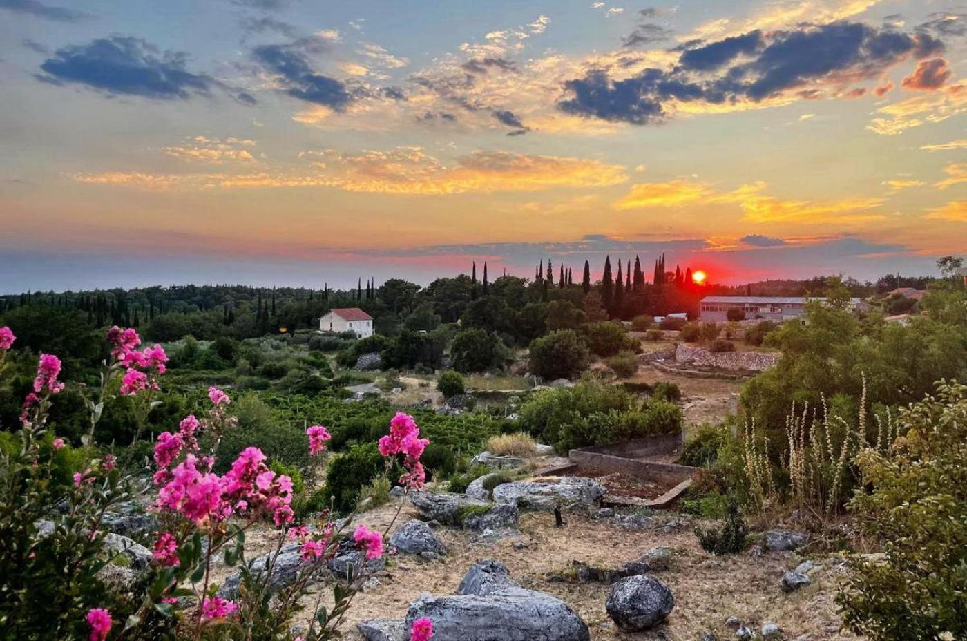 Appartamento Le Petit 2 Čilipi Esterno foto